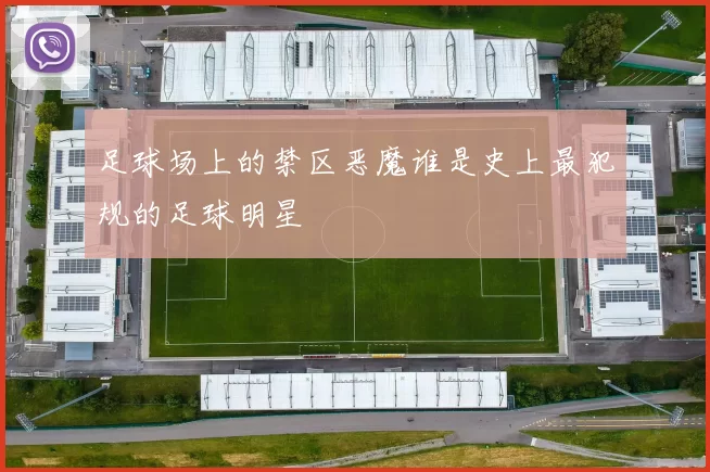 足球场上的禁区恶魔谁是史上最犯规的足球明星