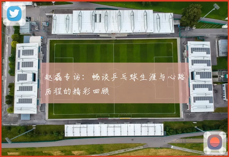 赵磊专访：畅谈乒乓球生涯与心路历程的精彩回顾