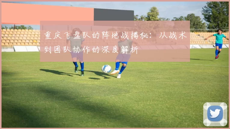重庆飞盘队的阵地战揭秘：从战术到团队协作的深度解析