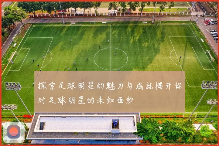 探索足球明星的魅力与成就揭开你对足球明星的未知面纱