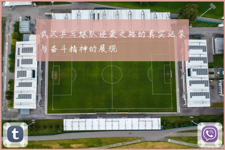 武汉乒乓球队逆袭之路的真实记录与奋斗精神的展现