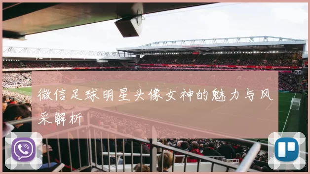 微信足球明星头像女神的魅力与风采解析