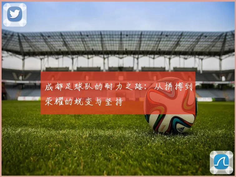 成都足球队的耐力之路：从拼搏到荣耀的蜕变与坚持