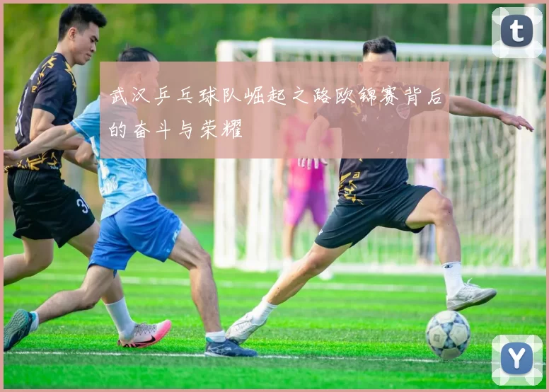 武汉乒乓球队崛起之路欧锦赛背后的奋斗与荣耀