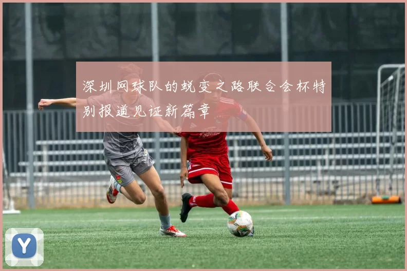 深圳网球队的蜕变之路联合会杯特别报道见证新篇章