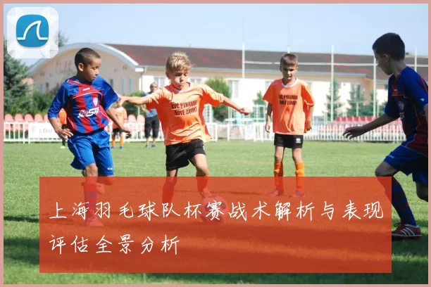 上海羽毛球队杯赛战术解析与表现评估全景分析