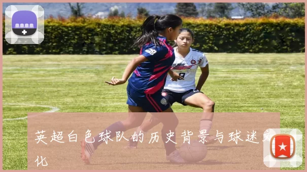英超白色球队的历史背景与球迷文化
