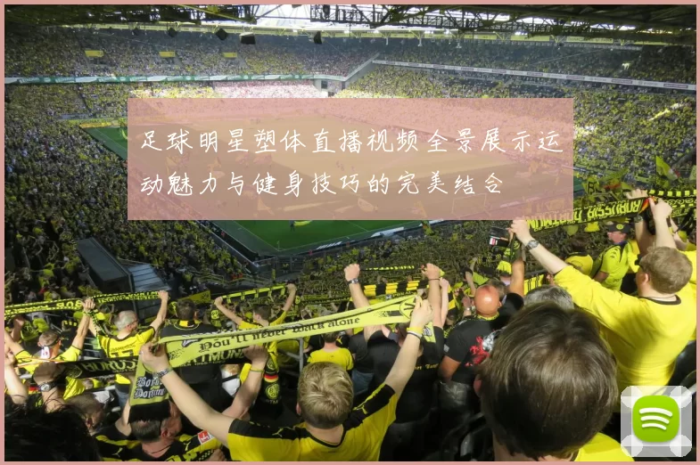 足球明星塑体直播视频全景展示运动魅力与健身技巧的完美结合