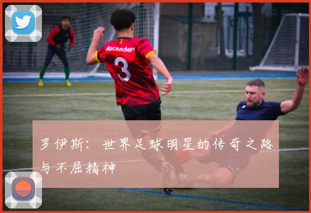 罗伊斯：世界足球明星的传奇之路与不屈精神