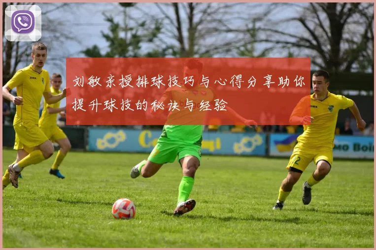 刘敏亲授排球技巧与心得分享助你提升球技的秘诀与经验