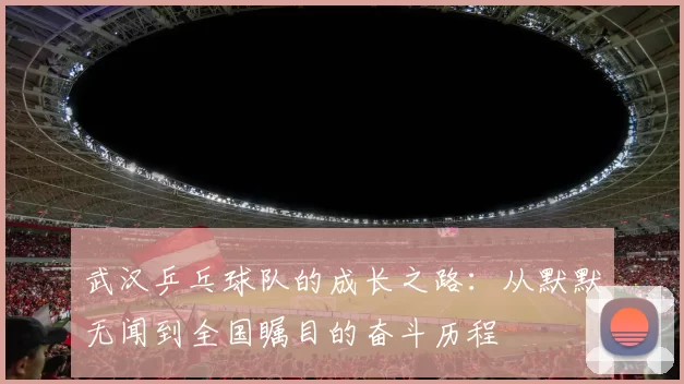 武汉乒乓球队的成长之路：从默默无闻到全国瞩目的奋斗历程