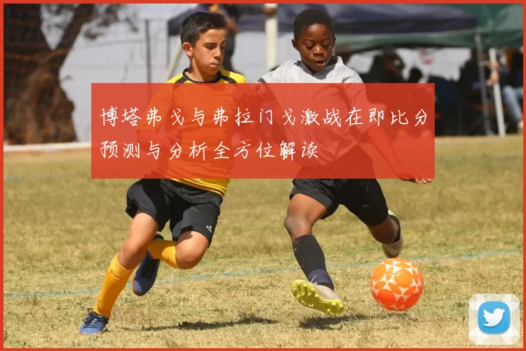 博塔弗戈与弗拉门戈激战在即比分预测与分析全方位解读