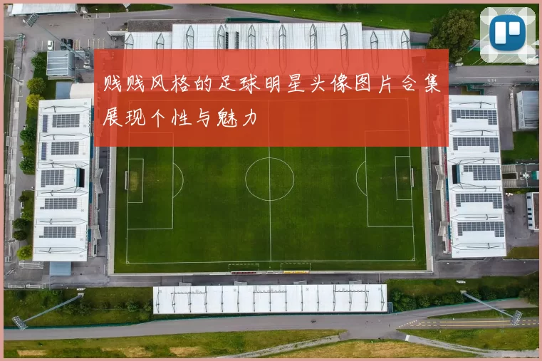 贱贱风格的足球明星头像图片合集展现个性与魅力