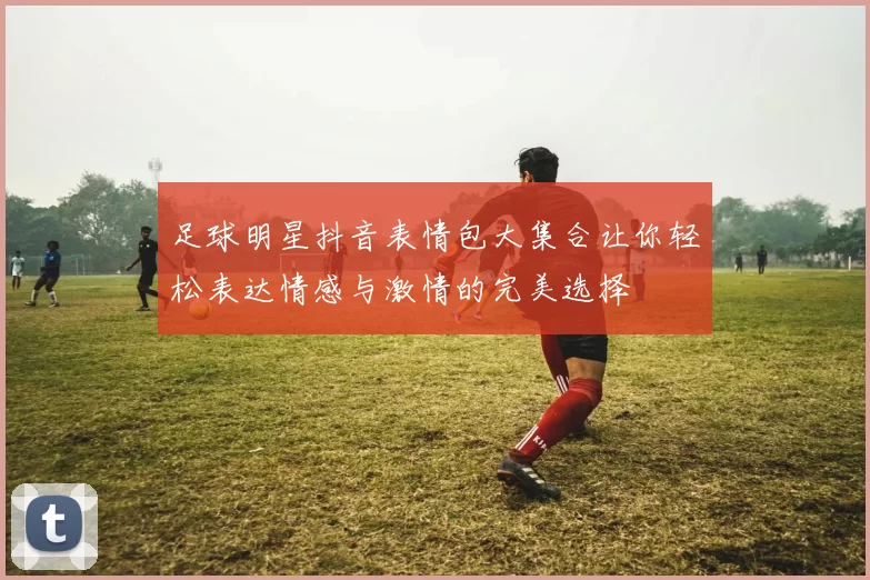 足球明星抖音表情包大集合让你轻松表达情感与激情的完美选择