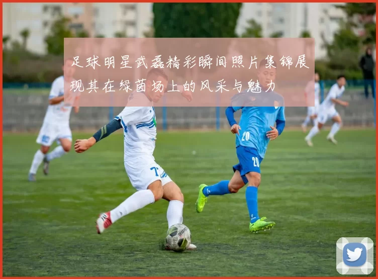 足球明星武磊精彩瞬间照片集锦展现其在绿茵场上的风采与魅力