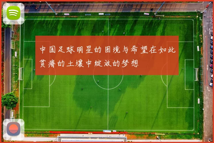 中国足球明星的困境与希望在如此贫瘠的土壤中绽放的梦想
