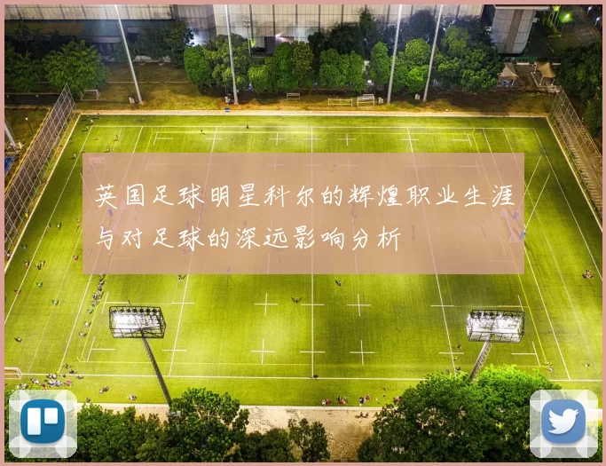 英国足球明星科尔的辉煌职业生涯与对足球的深远影响分析