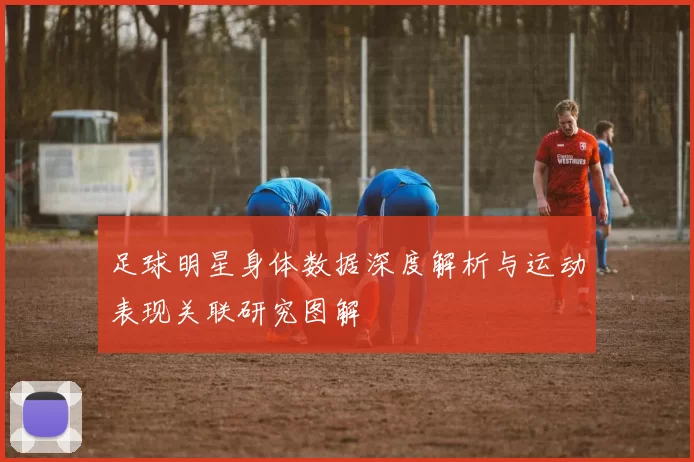 足球明星身体数据深度解析与运动表现关联研究图解