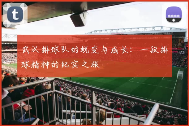 武汉排球队的蜕变与成长：一段排球精神的纪实之旅