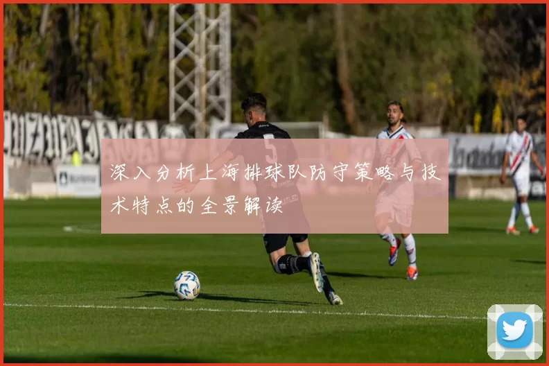 深入分析上海排球队防守策略与技术特点的全景解读