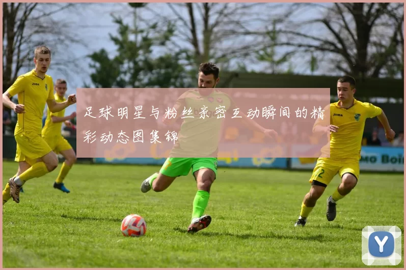 足球明星与粉丝亲密互动瞬间的精彩动态图集锦