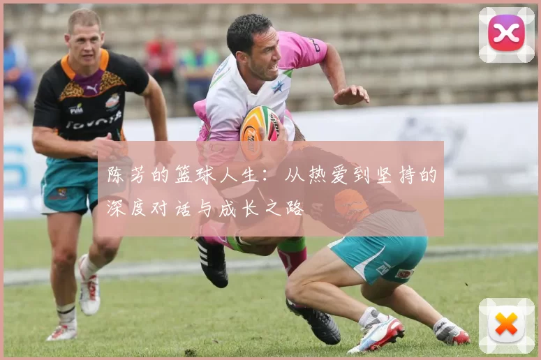 陈芳的篮球人生：从热爱到坚持的深度对话与成长之路