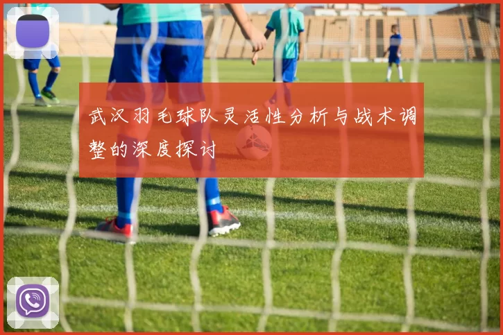 武汉羽毛球队灵活性分析与战术调整的深度探讨