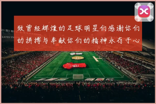 致曾经辉煌的足球明星们感谢你们的拼搏与奉献你们的精神永存于心