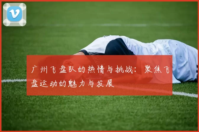 广州飞盘队的热情与挑战：聚焦飞盘运动的魅力与发展